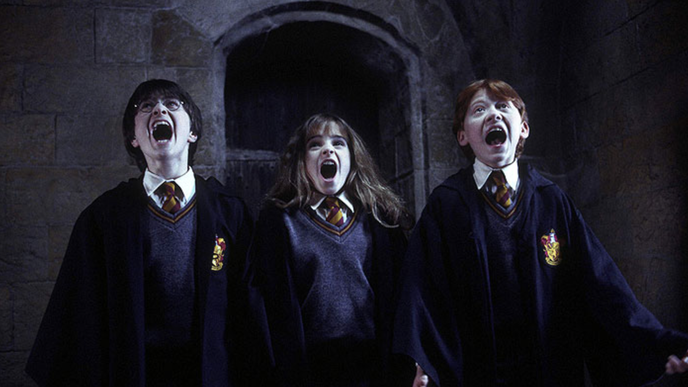 Harry Potter kámen mudrců